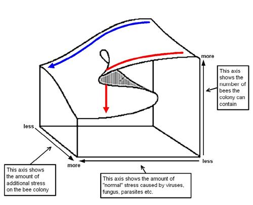 Bee Colony Cusp Diagram